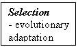 Text Box: Selection
- evolutionary adaptation

